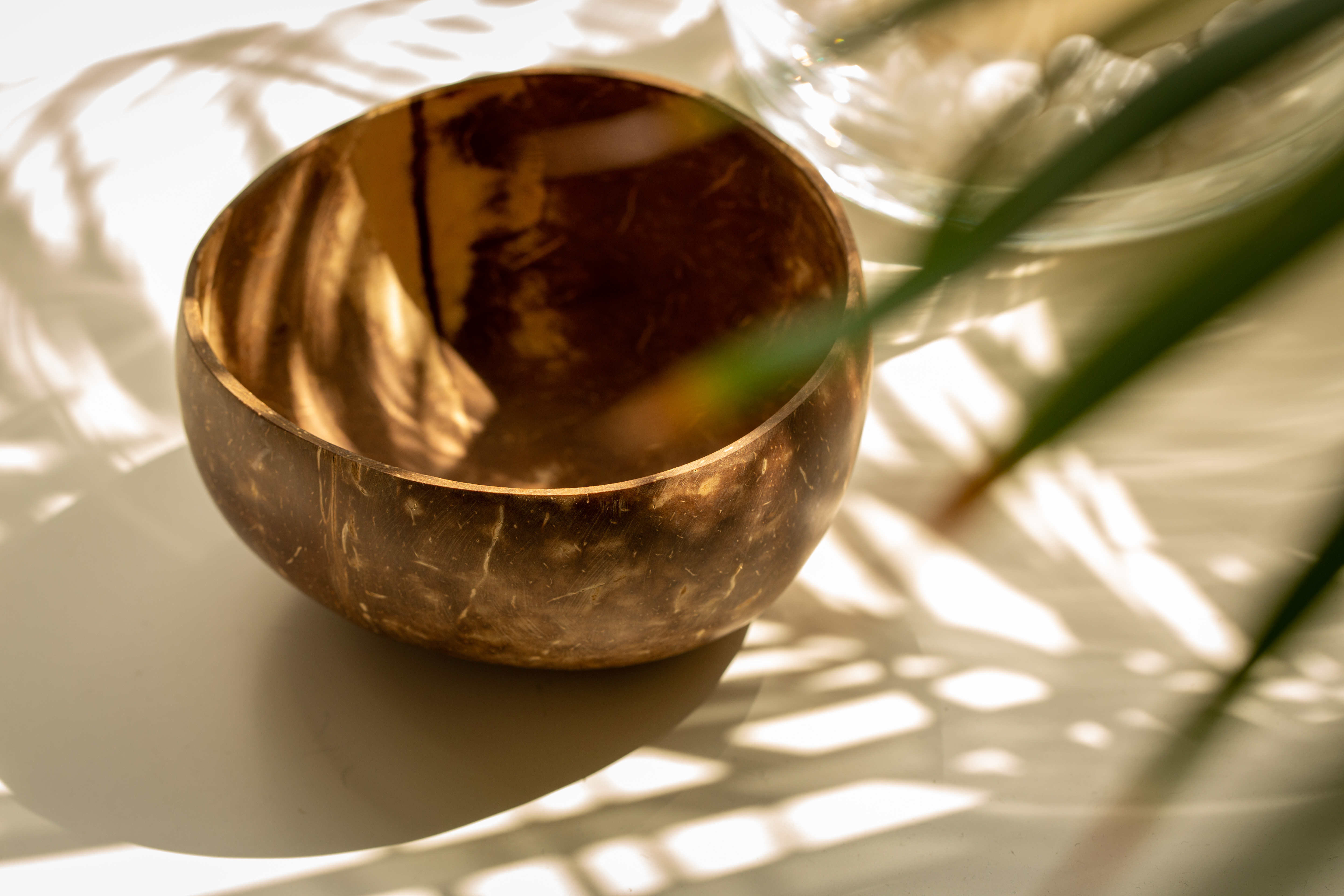 Kokosnuss-Schale, Ø ca. 13 cm, H 9 cm
