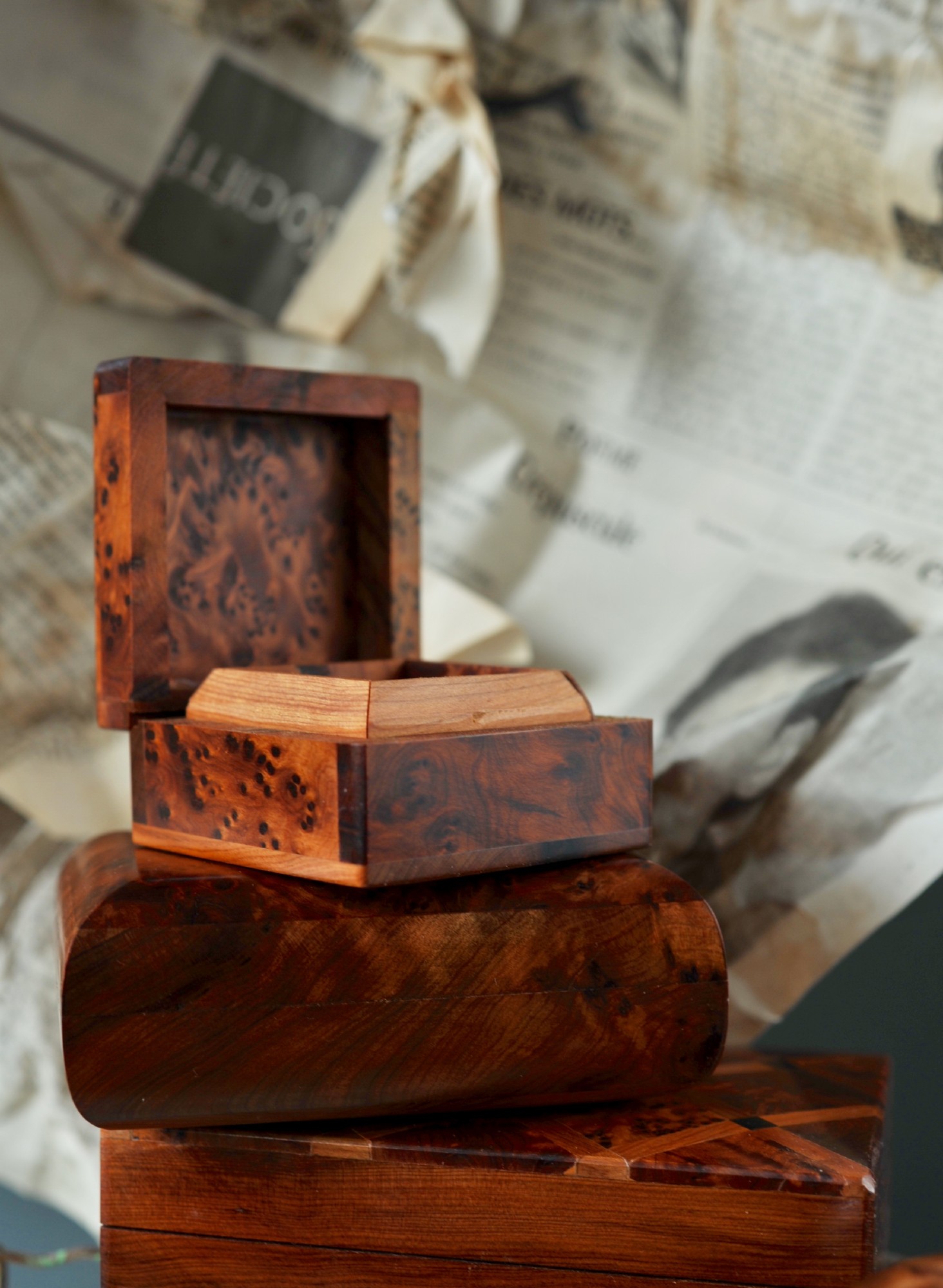 Thuja Box 'Wurzelholz', braun, T 8,5 cm, B 8,5 cm, H 4 cm