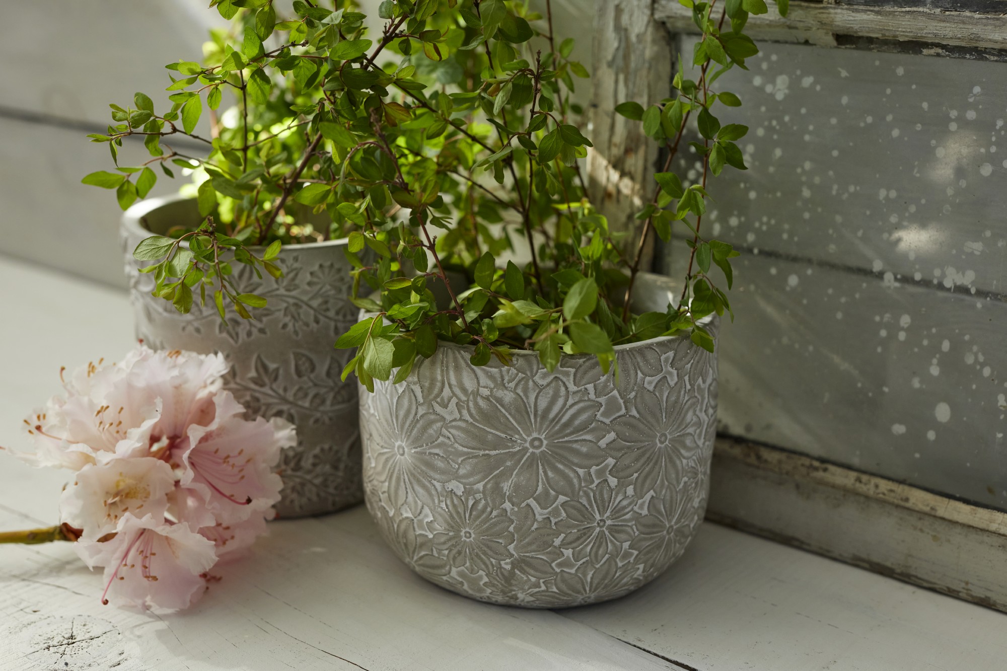 Zementtopf 'Asters', grau-weiß, Ø 14 cm, H 11 cm