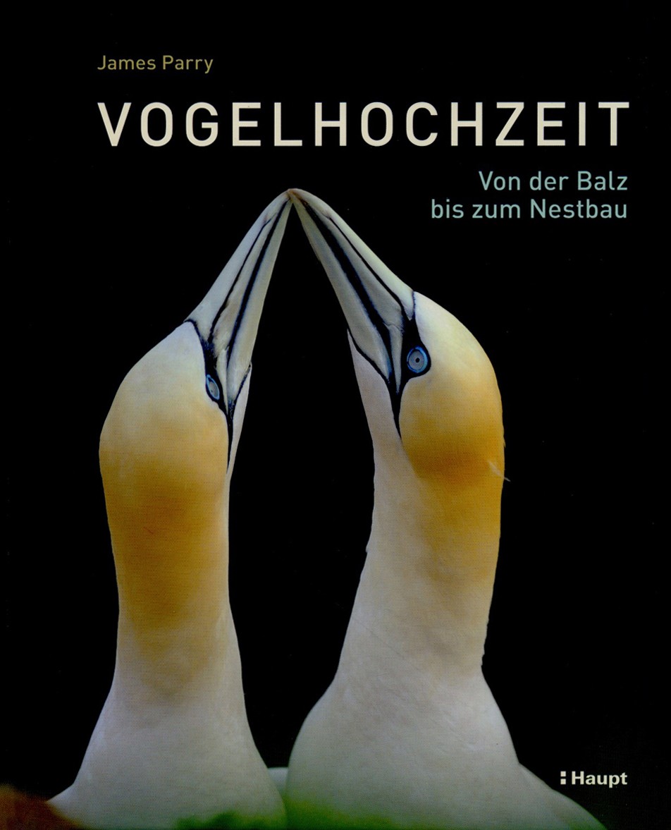 Buch 'Vogelhochzeit - Von der Balz bis zum Nestbau'