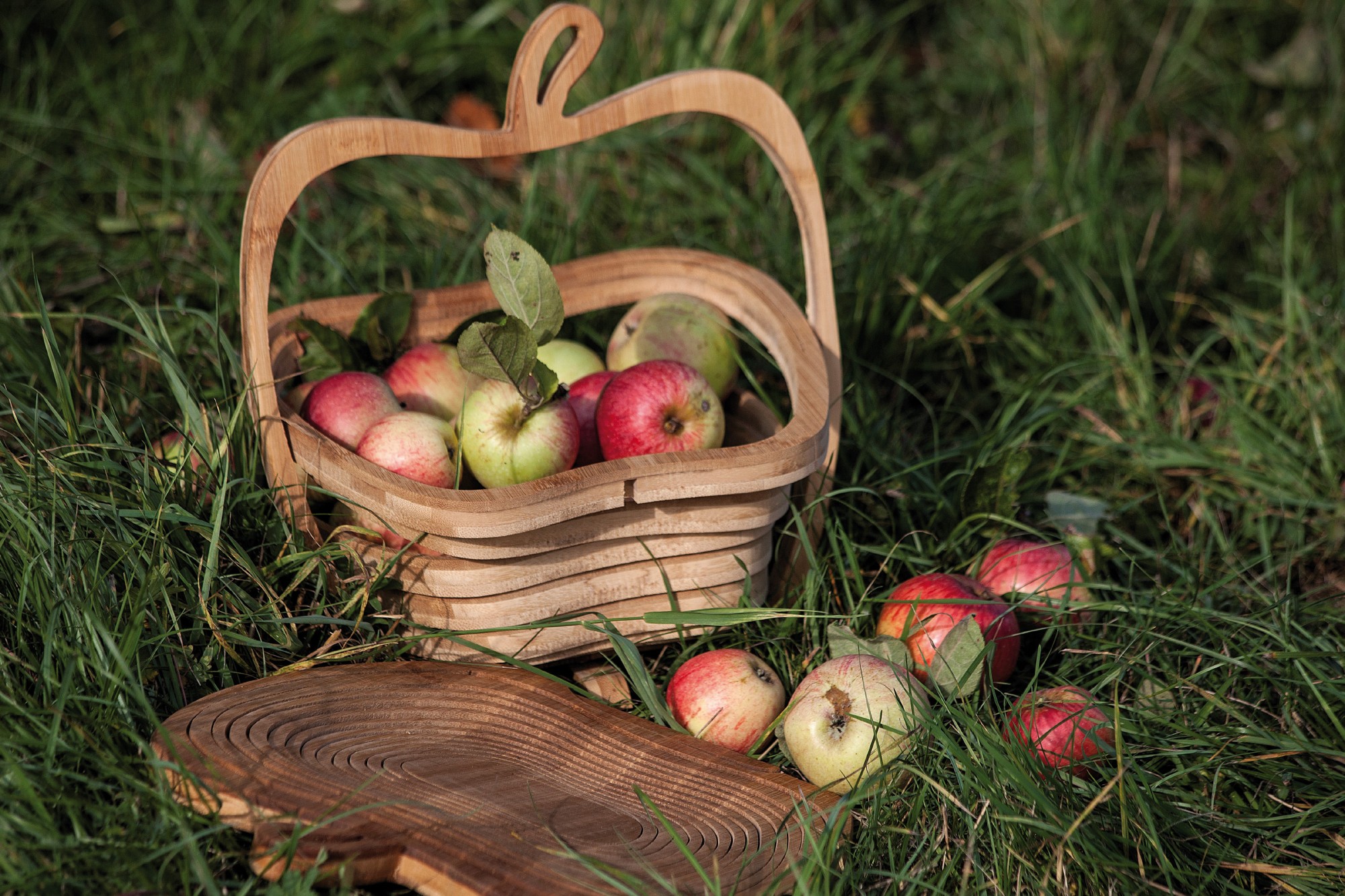 Fruchtkorb 'Apfel', Bambus, T 30 cm, B 27 cm, H 2 cm