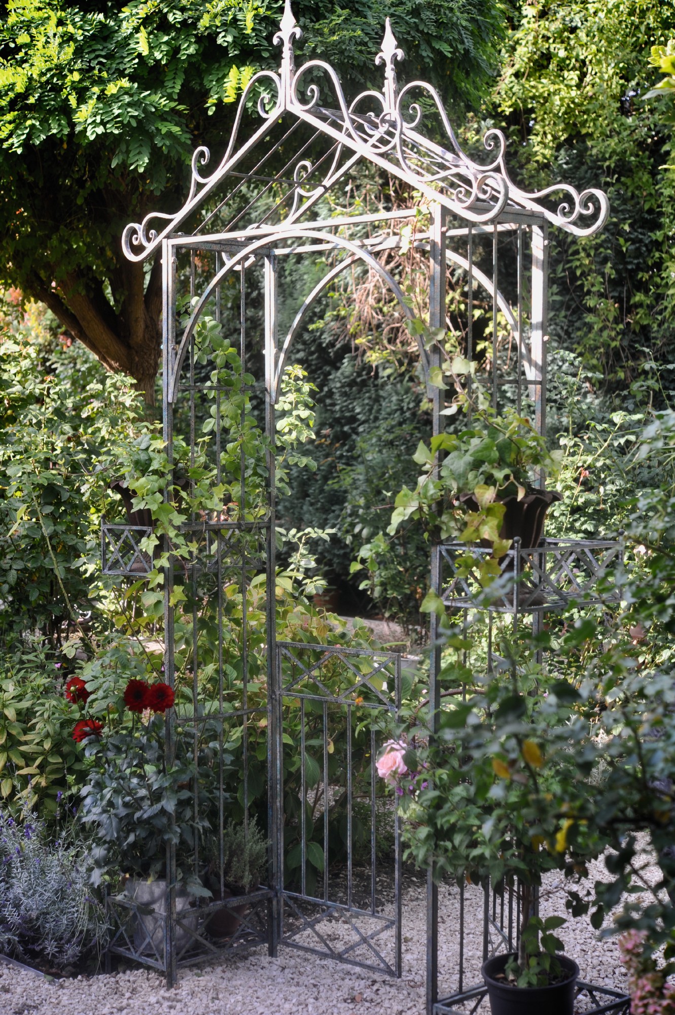 Rankbogen 'Lilou' mit Türen, grün-metallisch, T 40 cm, B 163 cm, H 273 cm