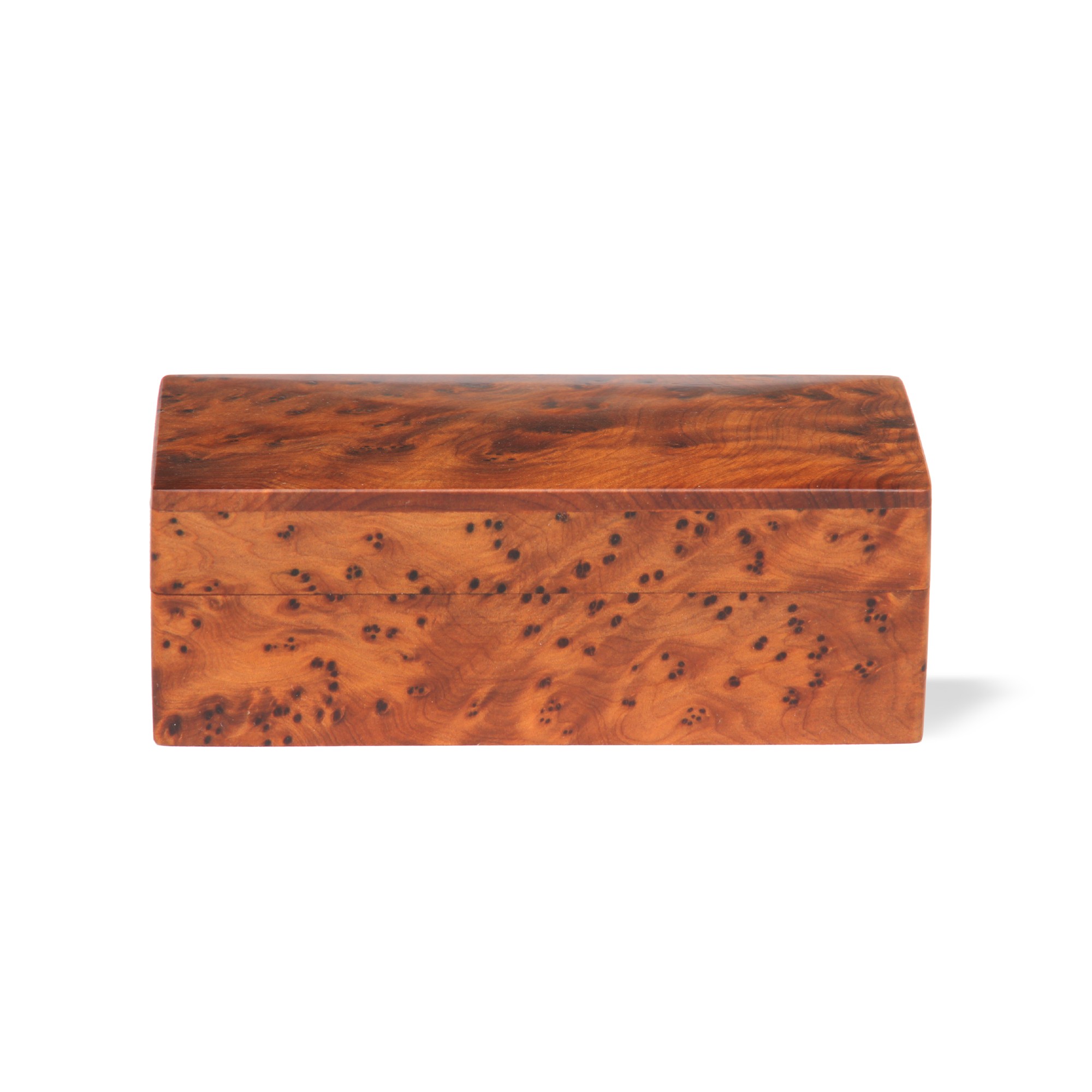 Thuja Box, B 12 cm, T 8 cm, H 4,5 cm