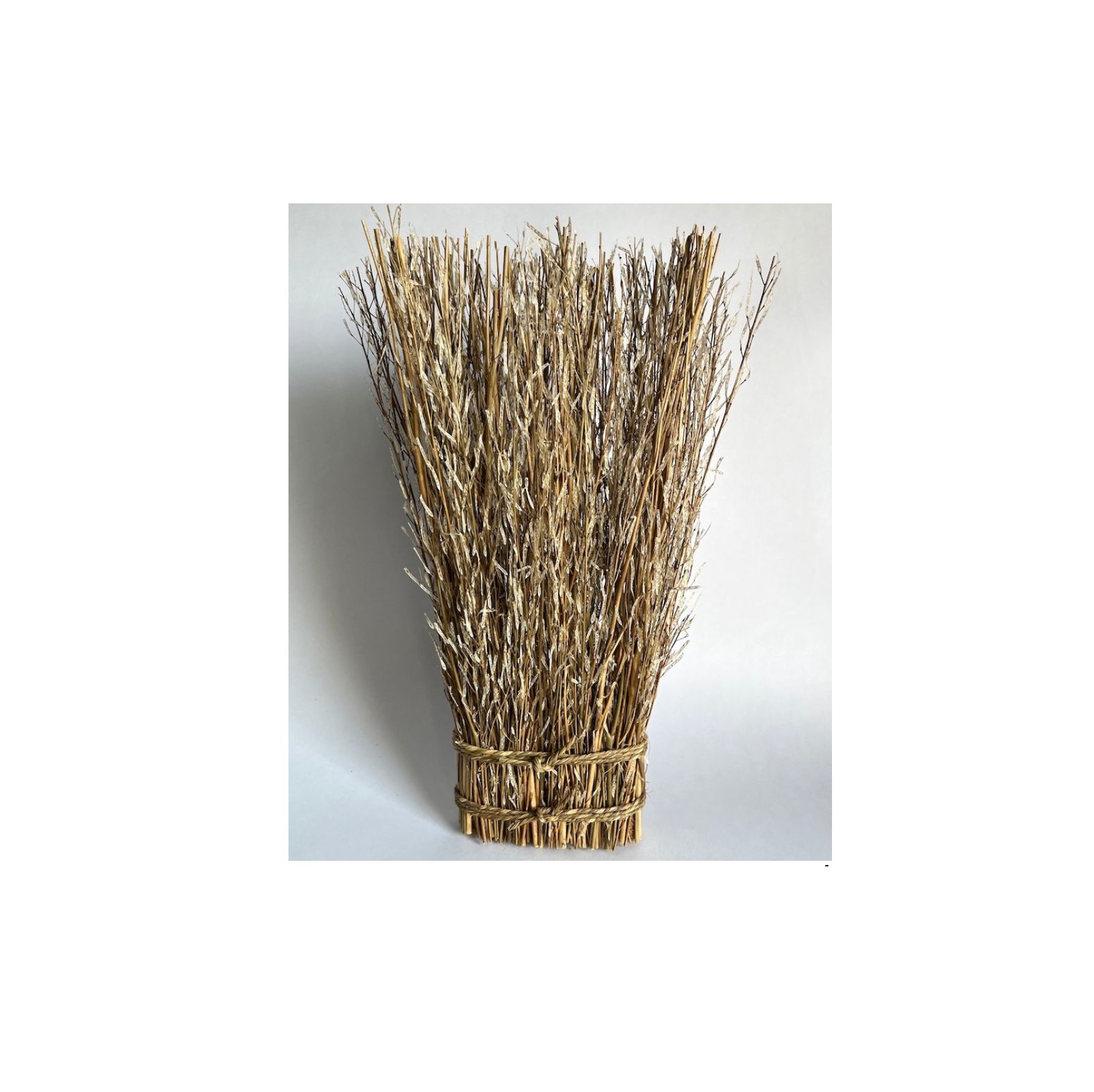 Garbe echtes Senfgras, H 50 cm, B 17 cm, L 6 cm