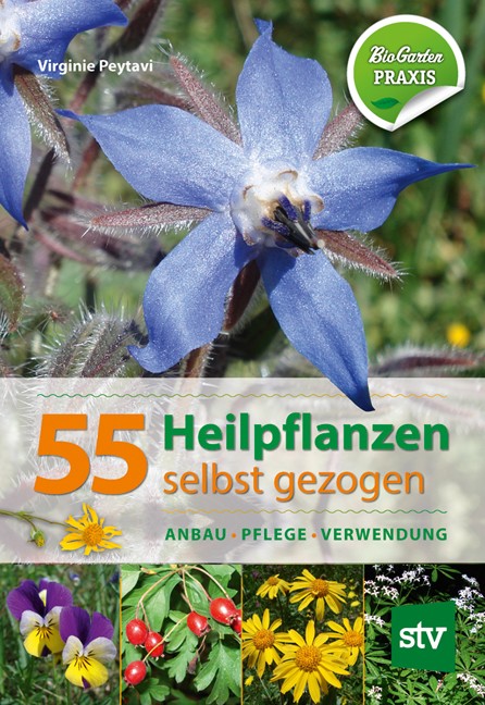 Buch '55 Heilpflanzen selbst gezogen', Anbau, Pflege, Verwendung