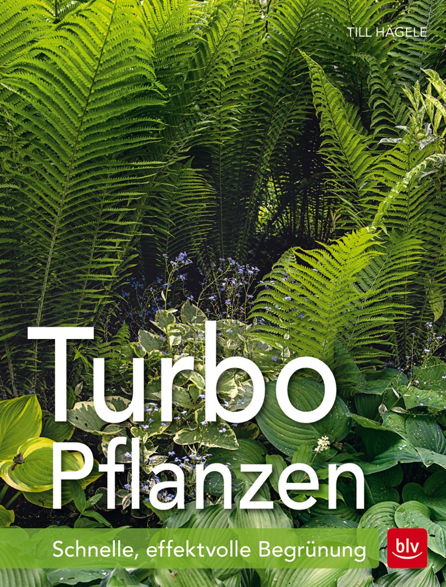 Buch 'Turbo Pflanzen', Schnelle, effektvolle Begrünung