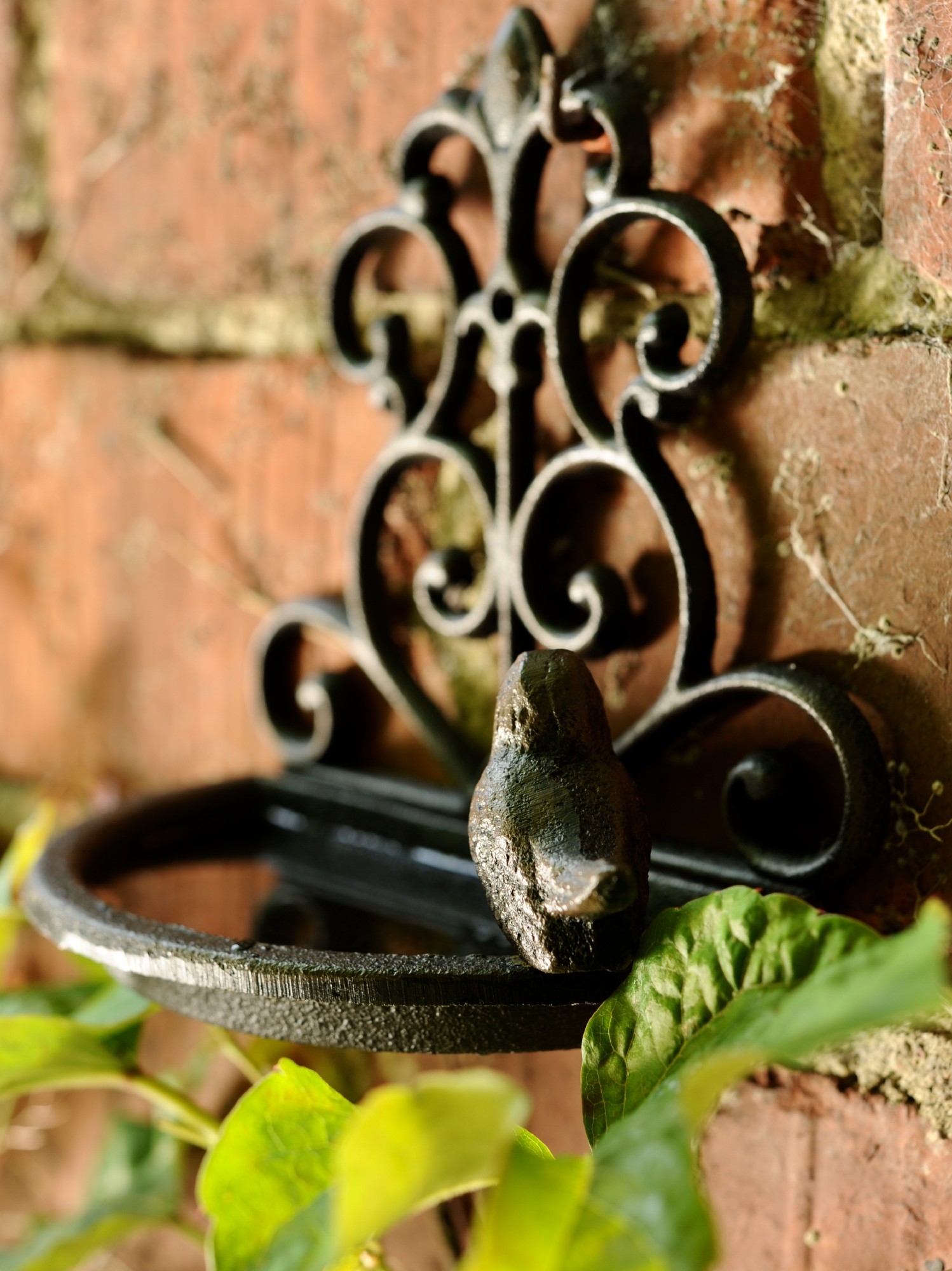 Wand-Vogeltränke, braun, T 10 cm, B 18 cm, H 17,5 cm