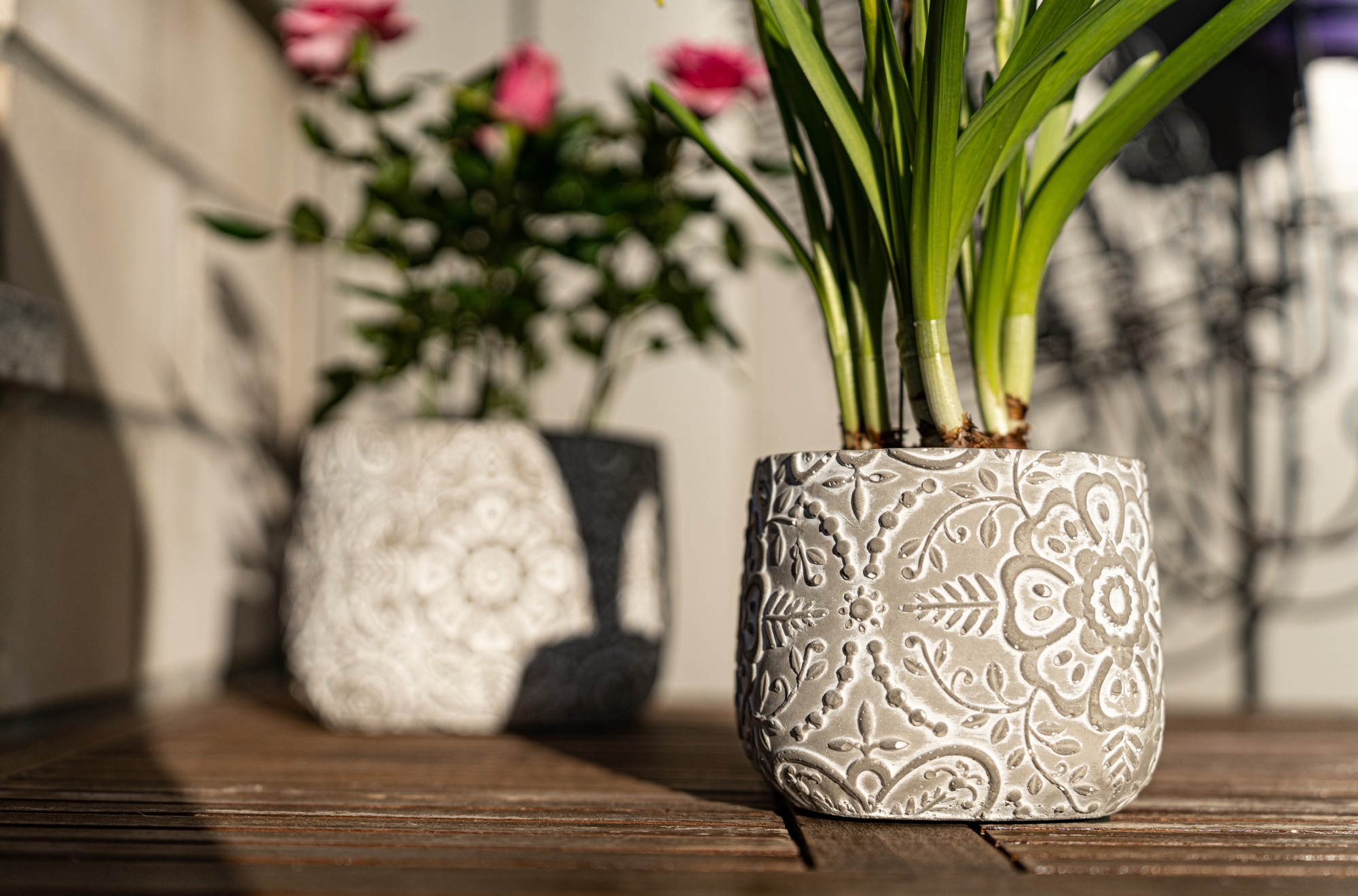 Zementtopf 'Pouvoir de fleurs' S, grau, whitewash, Ø 12 cm, H 10 cm