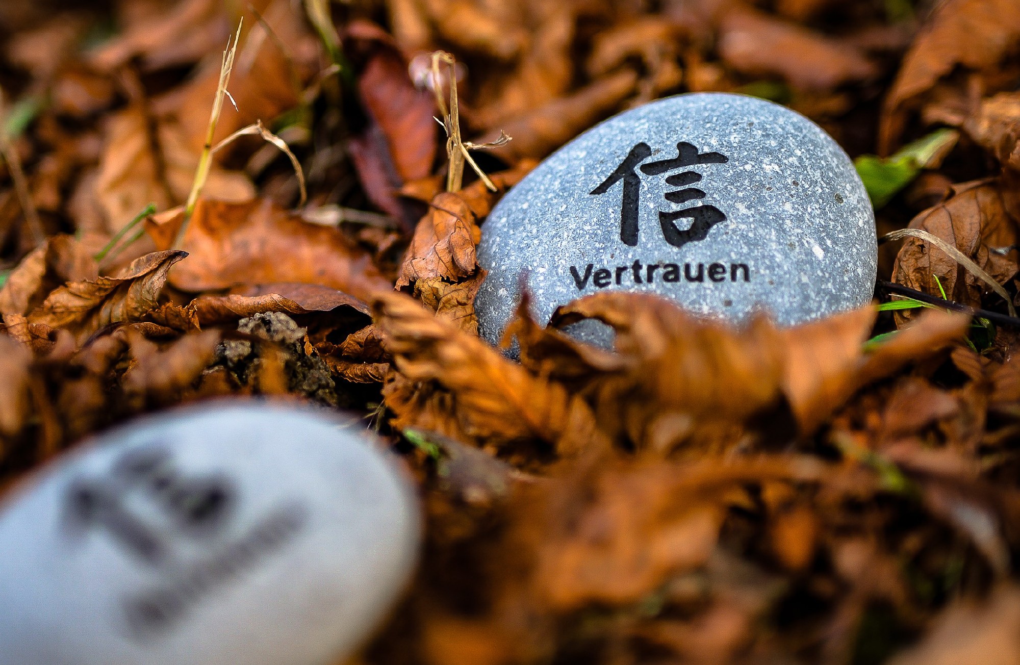 Flusskieselstein 'Vertrauen', grau, T 8 cm, B 8 cm
