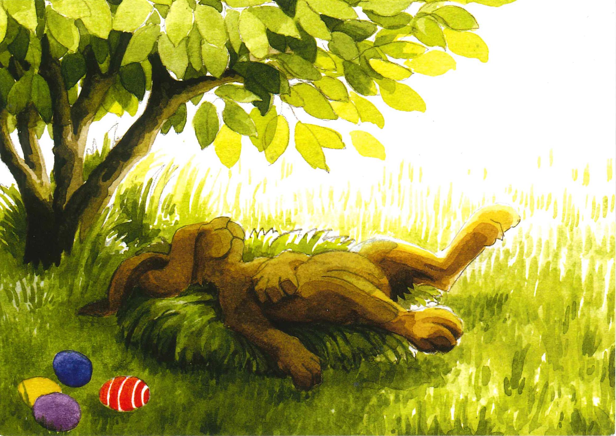 Postkarte 'Müder Hase'