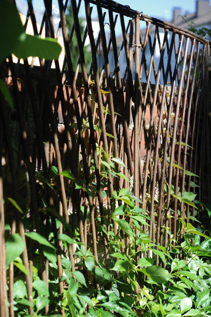Rankgitter aus Weide, B 60 cm, H 180 cm