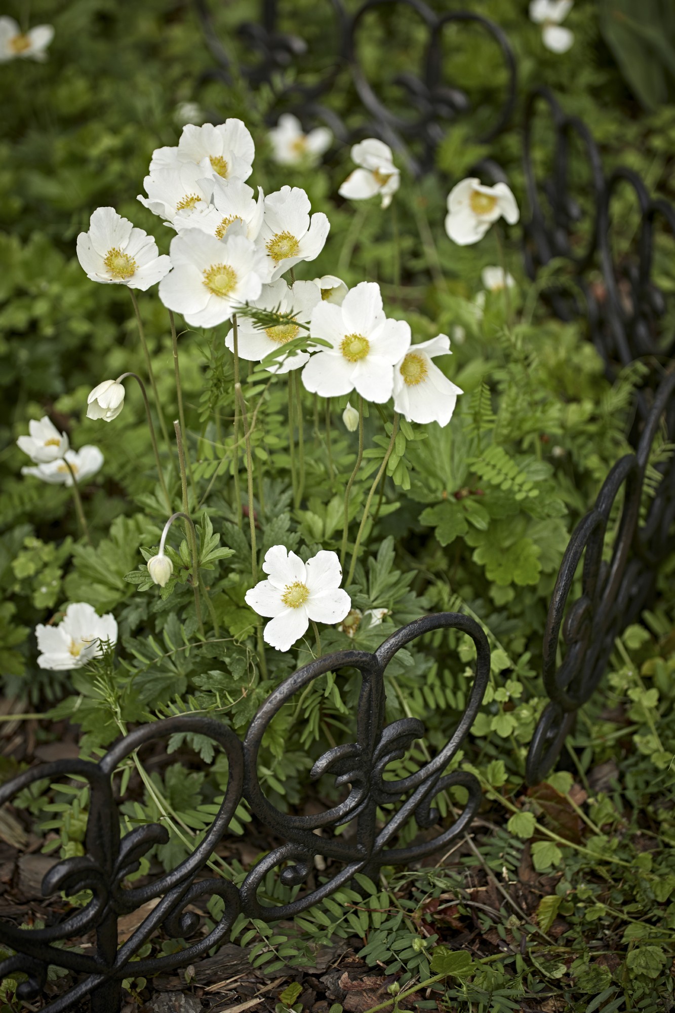 Beetabgrenzer 'Odette', aus Gusseisen, B 31 cm, H 28 cm