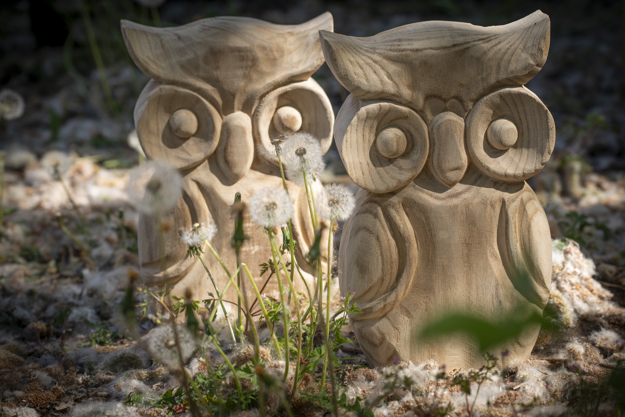 Eulen-Skulptur, natur, B 22 cm, H 34 cm, T 7,5 cm