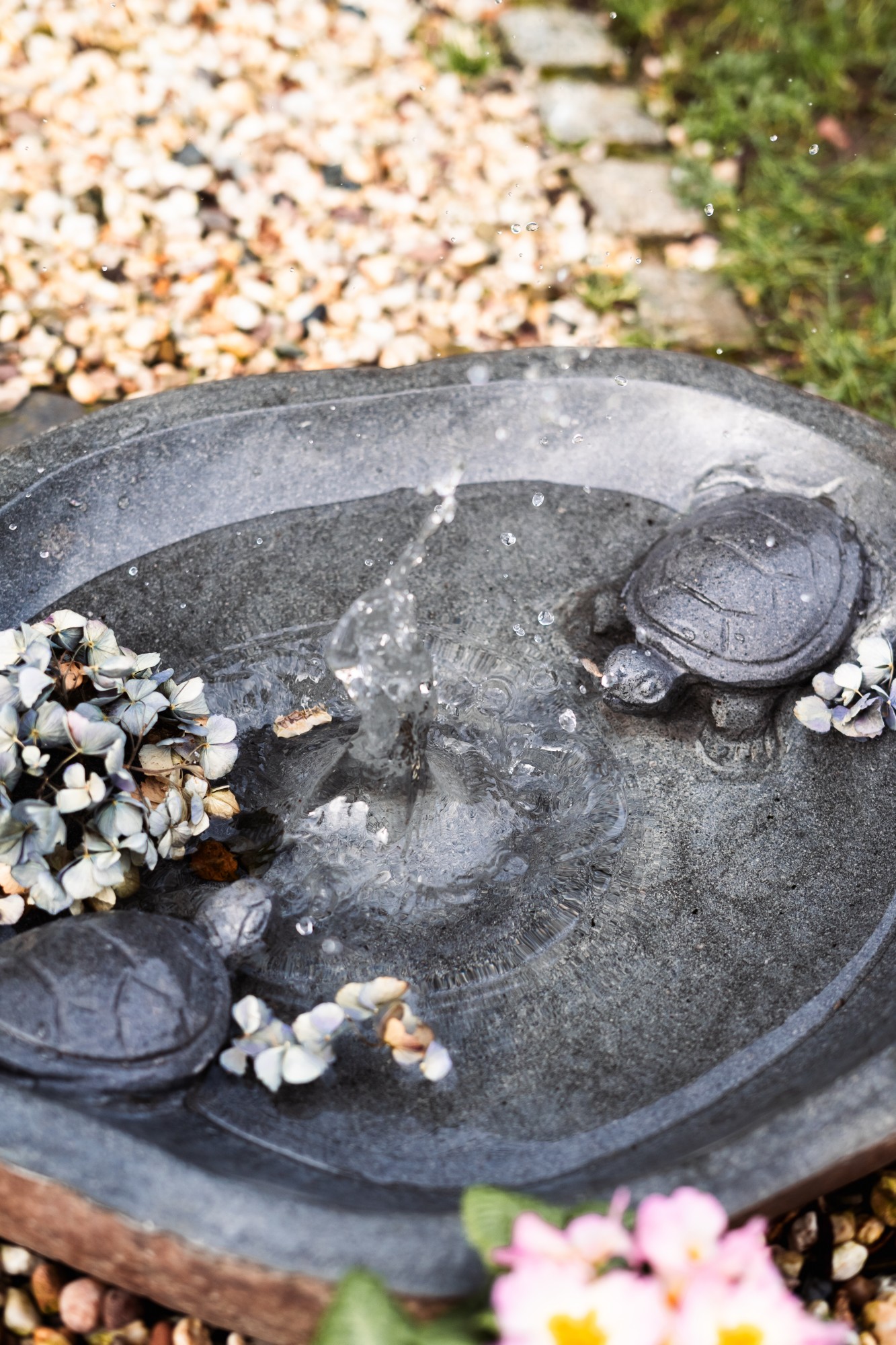 Vogeltränke 'Turtle', natur, Ø 40 cm, H 11 cm