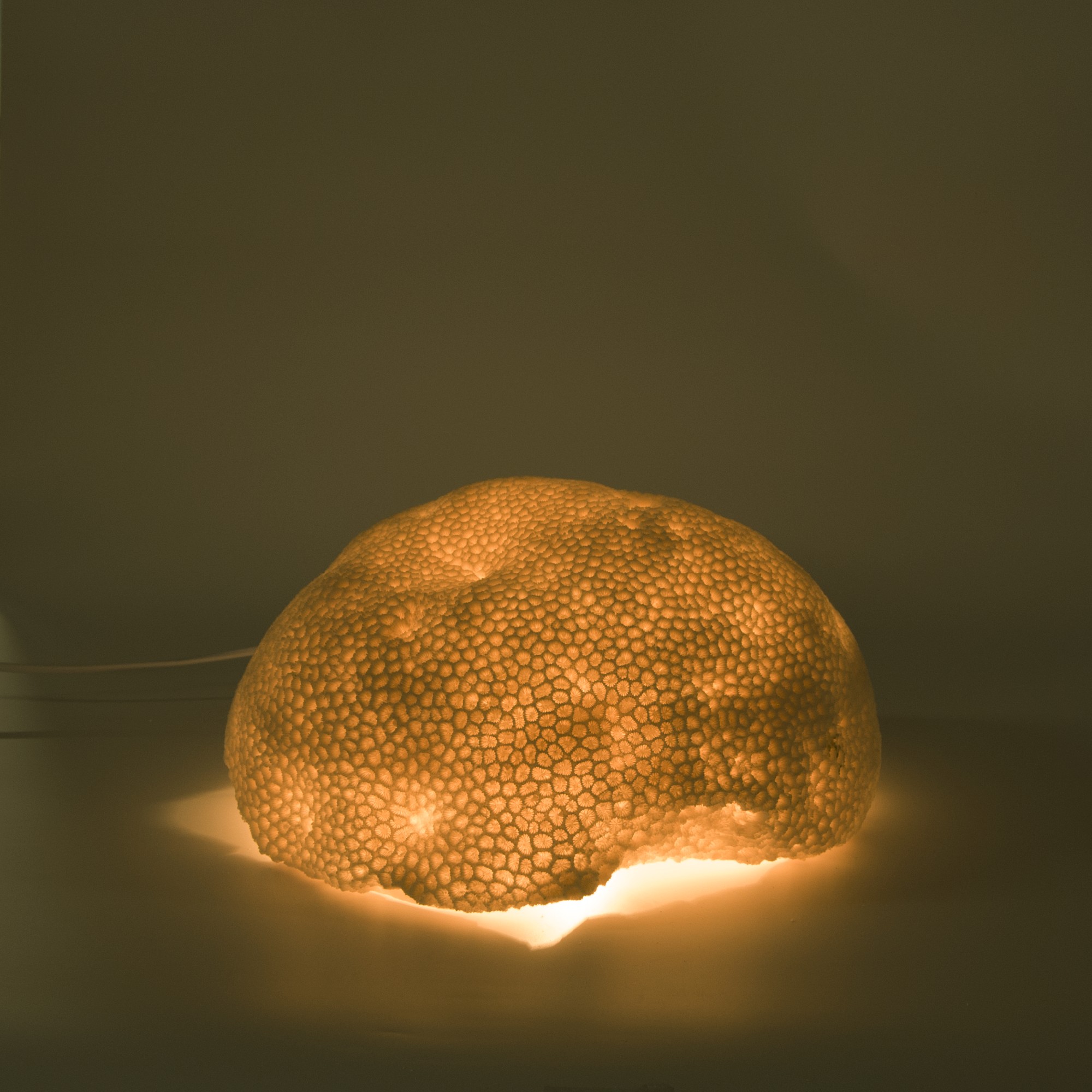 Leuchte 'Korallenstein', B 34 cm, H 18 cm