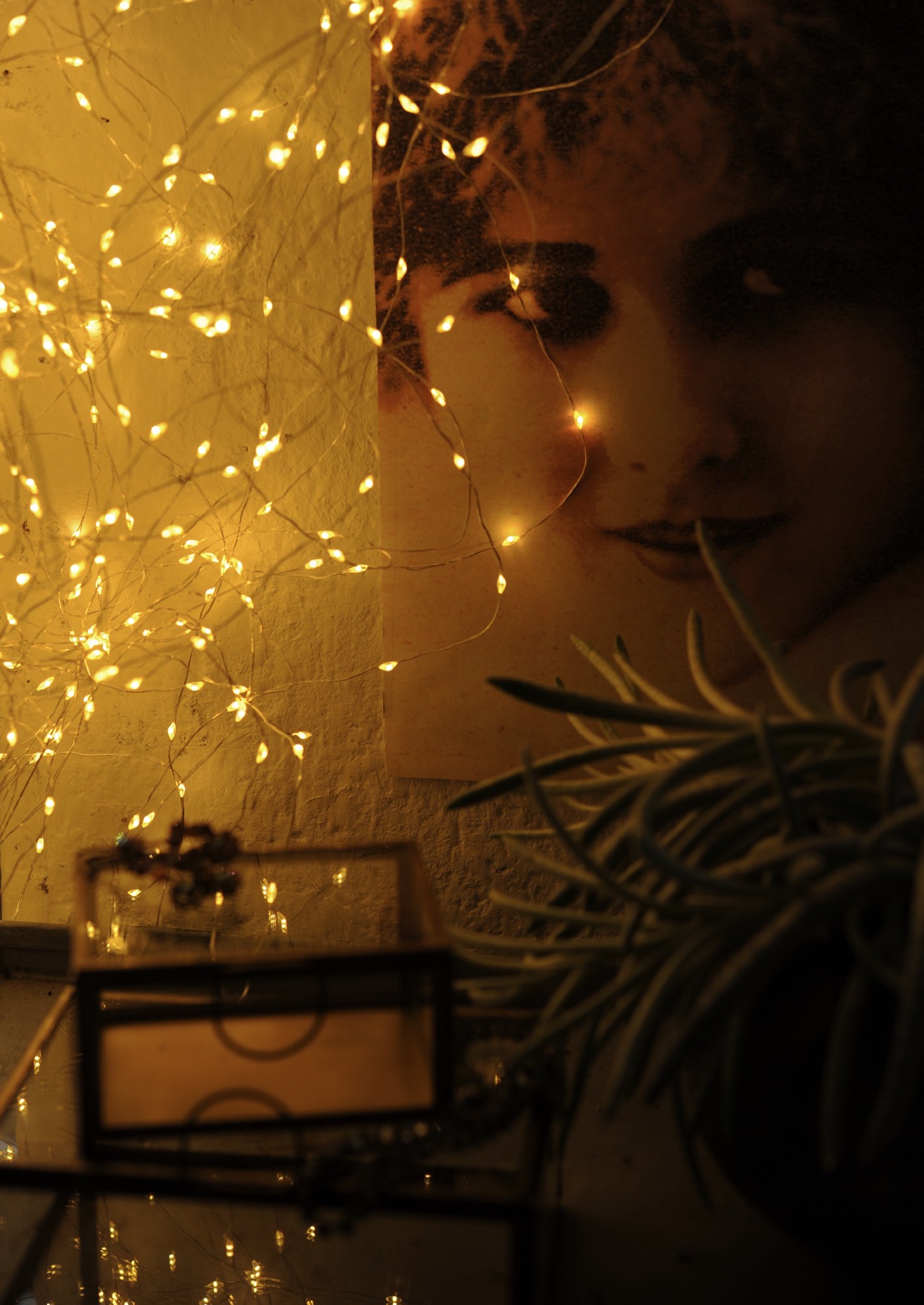 Lichterschnur 'Greville', 30 LED, 290 cm