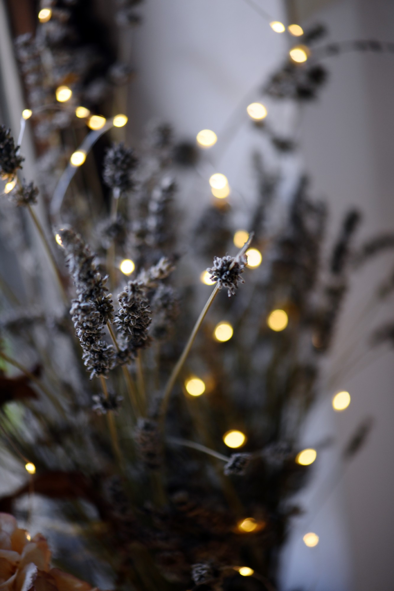 Lichterschnur 'Greville', 50 LED, 265 cm