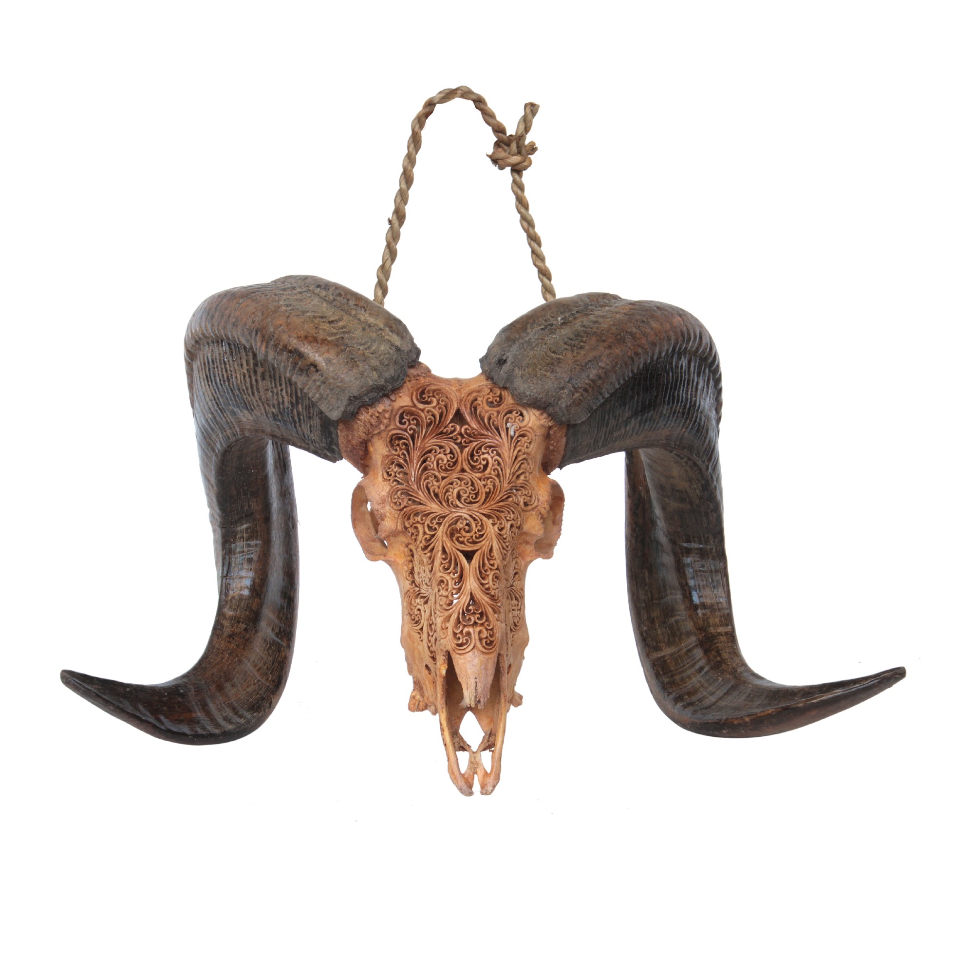 Widderschädel 'Ram', antikbraun, B 60 cm, H 40 cm, L 30 cm