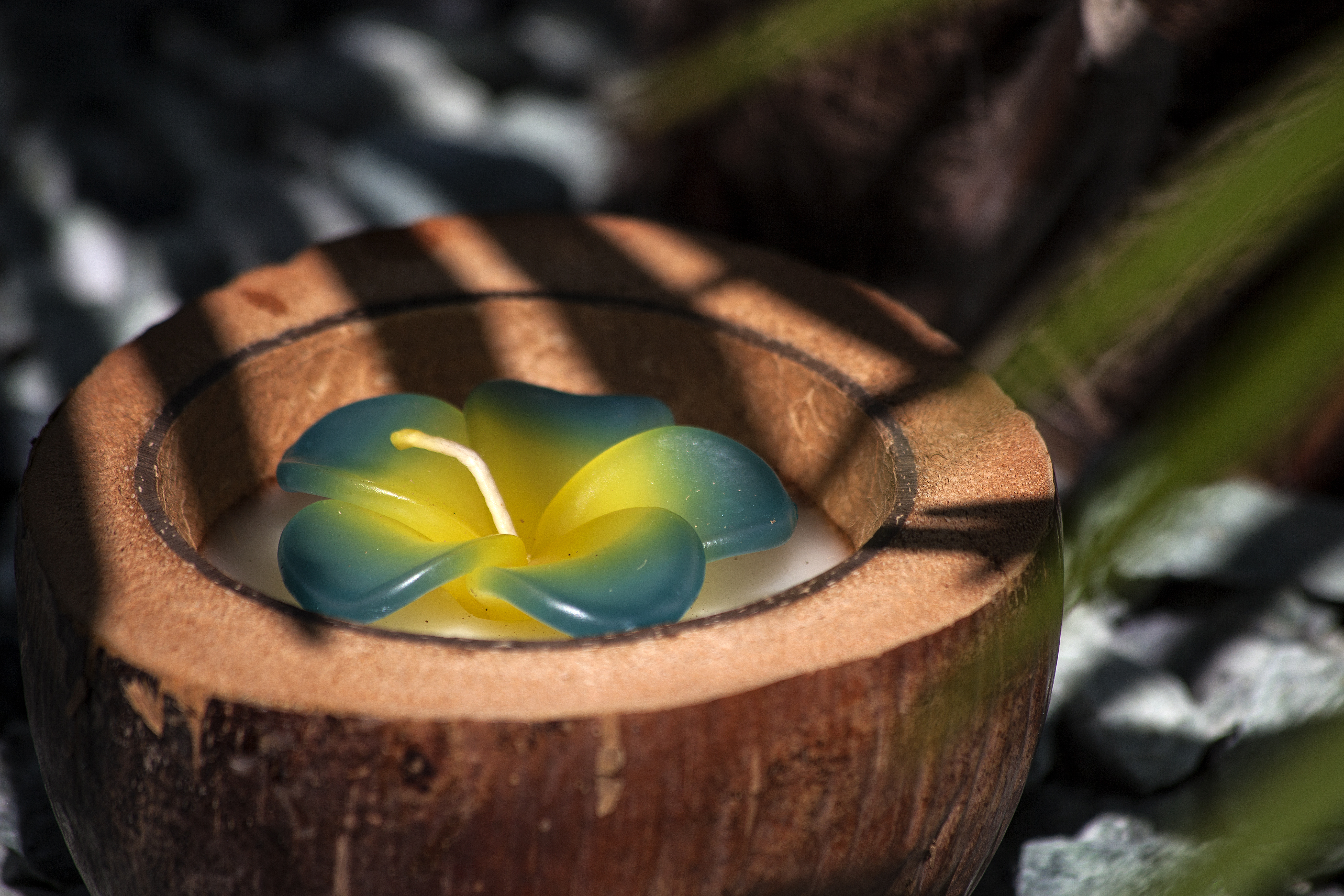 Duftkerze 'Frangipani', in Kokosnusshälfte, braun, multicolor, Ø 13-17 cm
