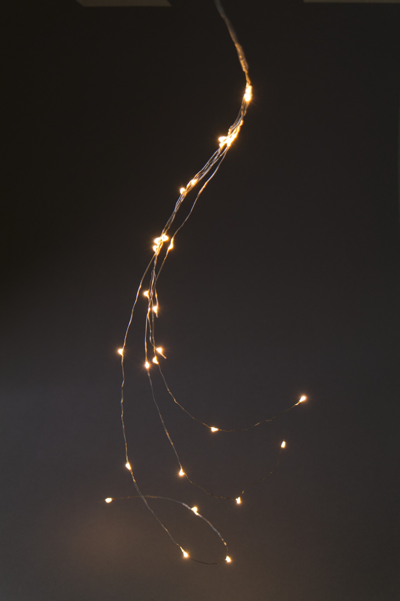 Lichter-Traube 'Bertogne', 30 LED, 5 Strippen, 70 cm