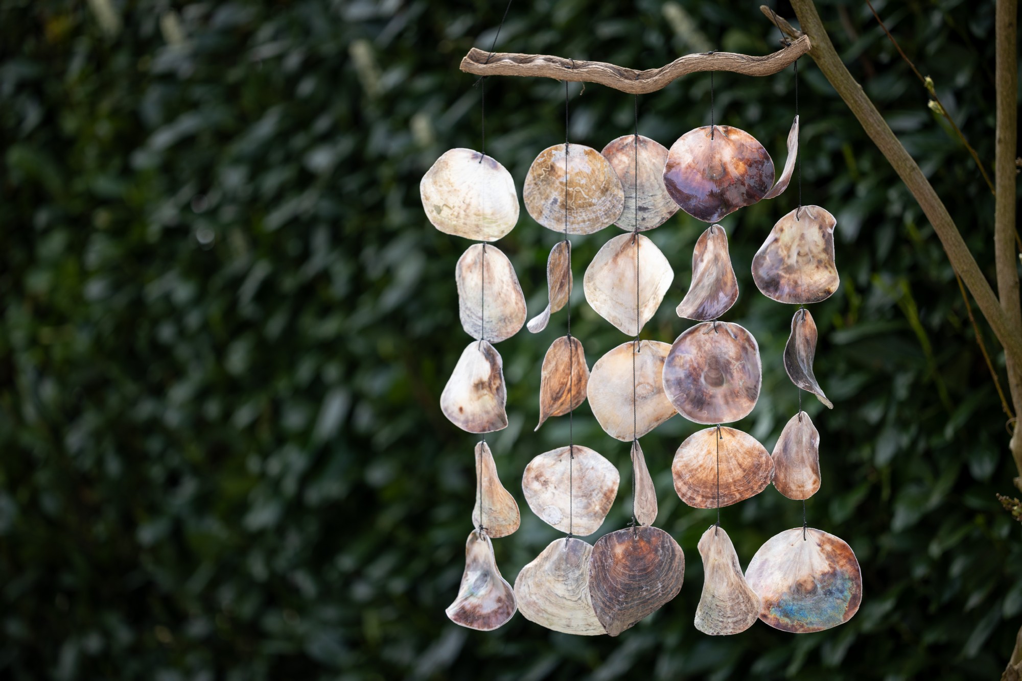 Windspiel mit Muscheln, H 90 cm, B 35 cm