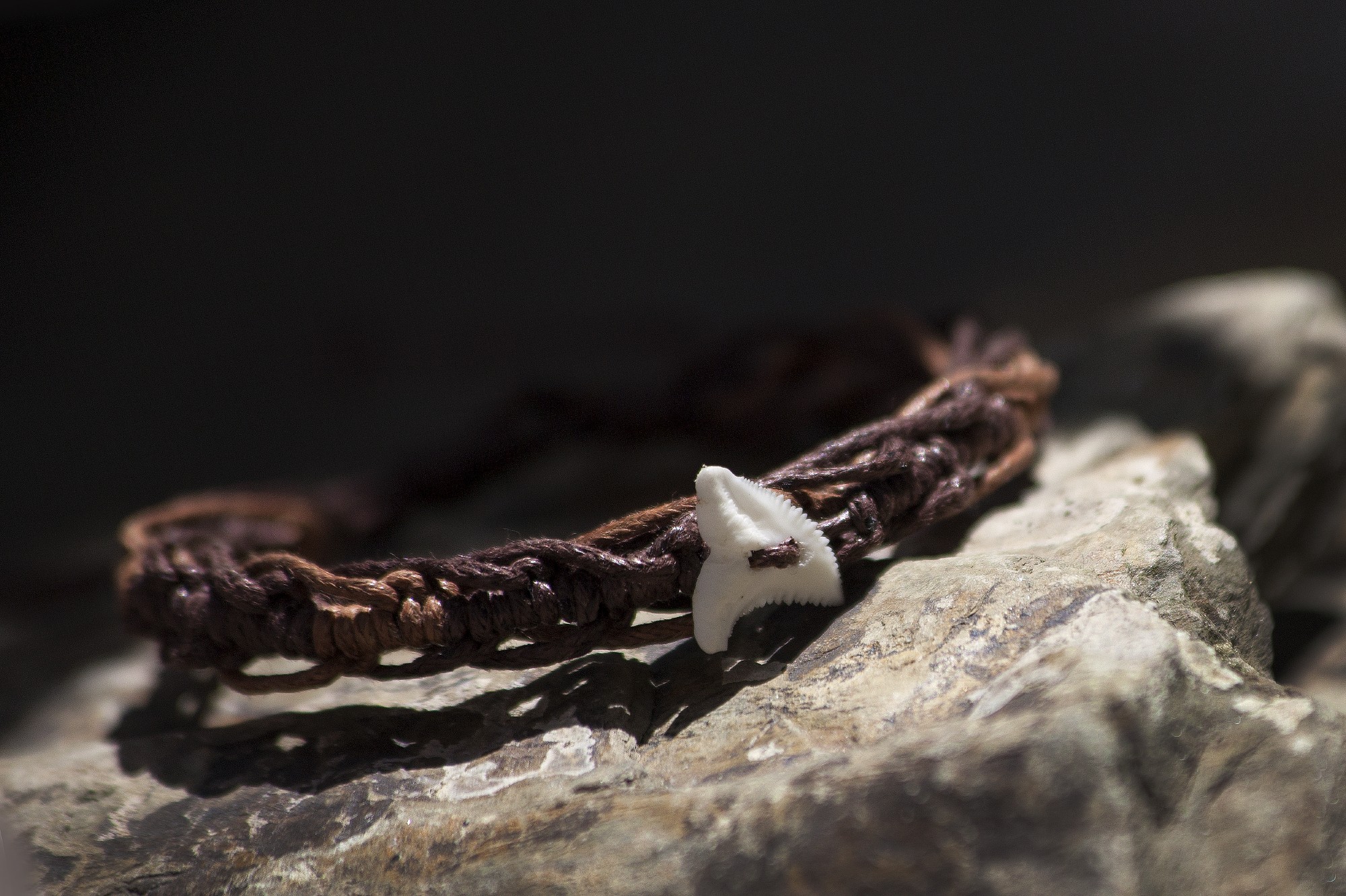 Armband 'Haizahn', braun