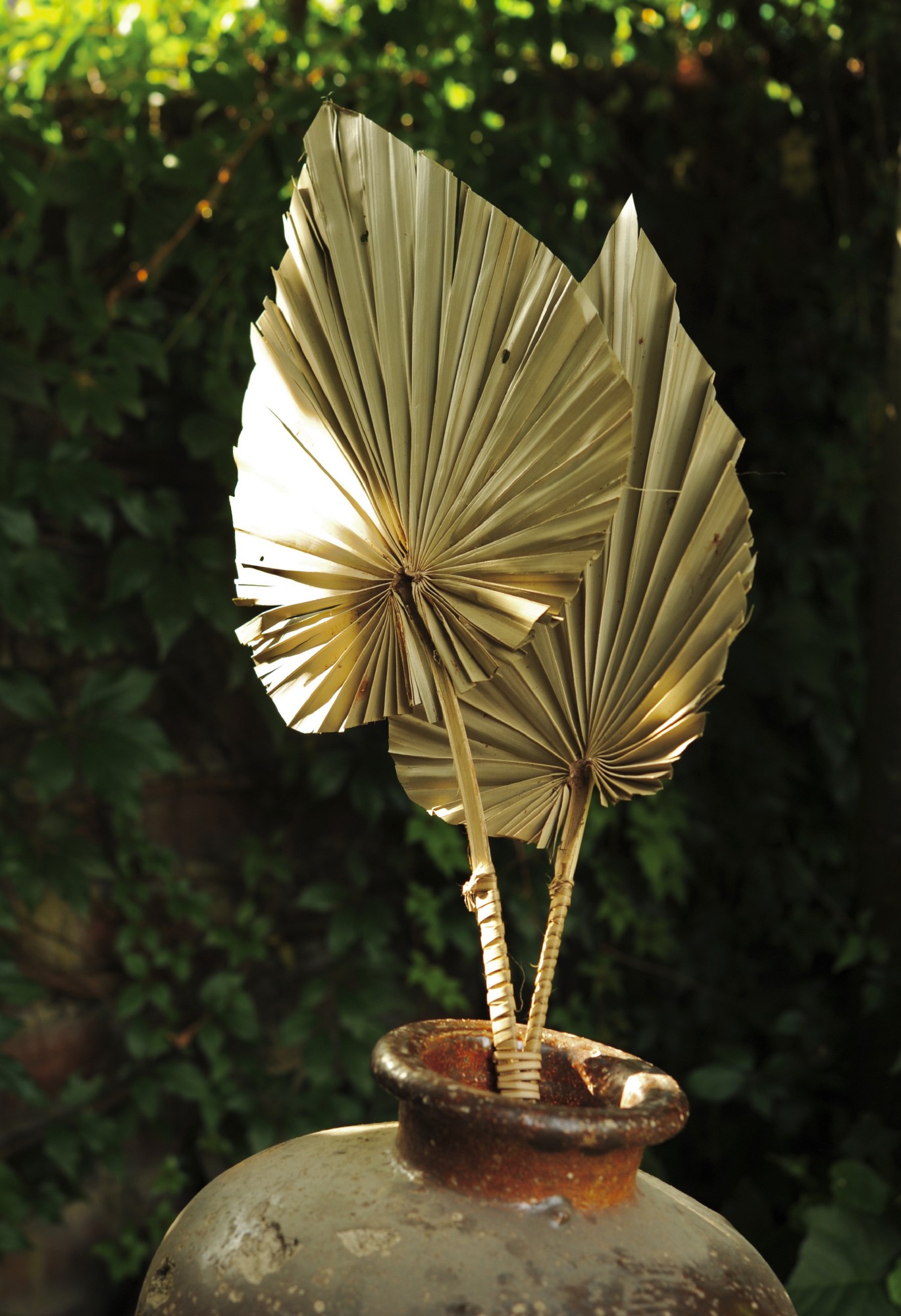 Palmyra-Palmwedel-Duo, H 100 cm