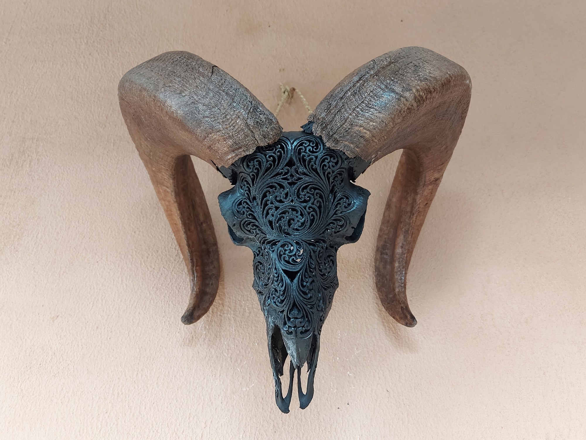 Widderschädel 'Ram', schwarz, B 60 cm, H 40 cm, L 30 cm
