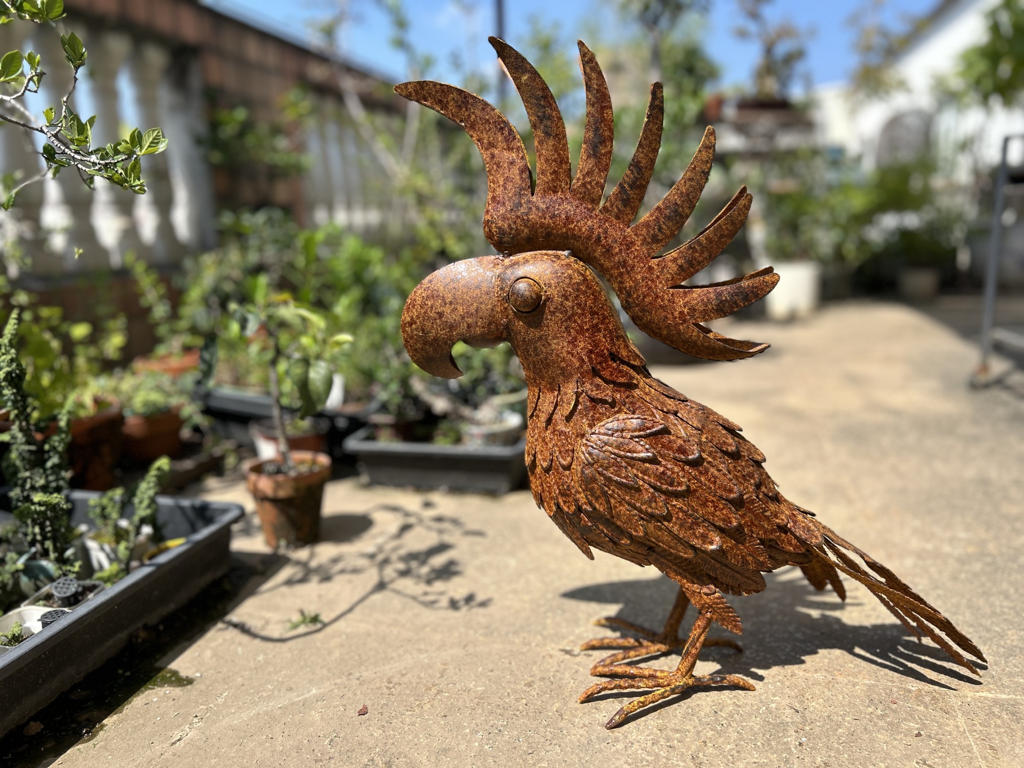 Metall-Skulptur 'Kakadu', rost, B 52 cm, T 16 cm, H 51 cm
