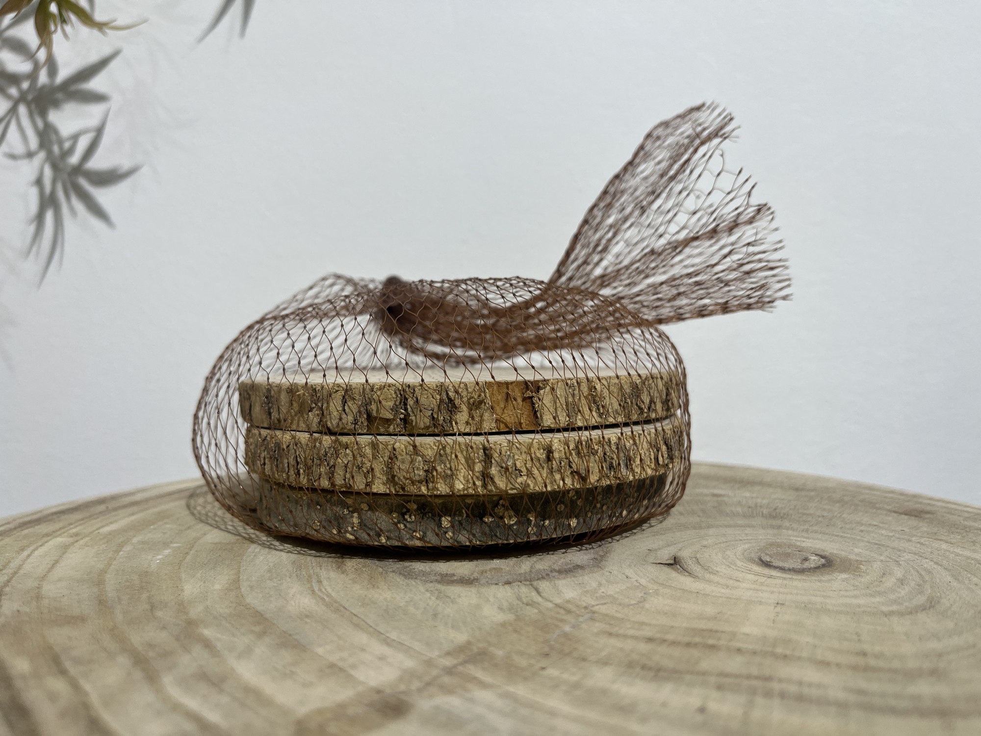 Holzscheiben 3 Stück, Ø 10 cm, H 1 cm