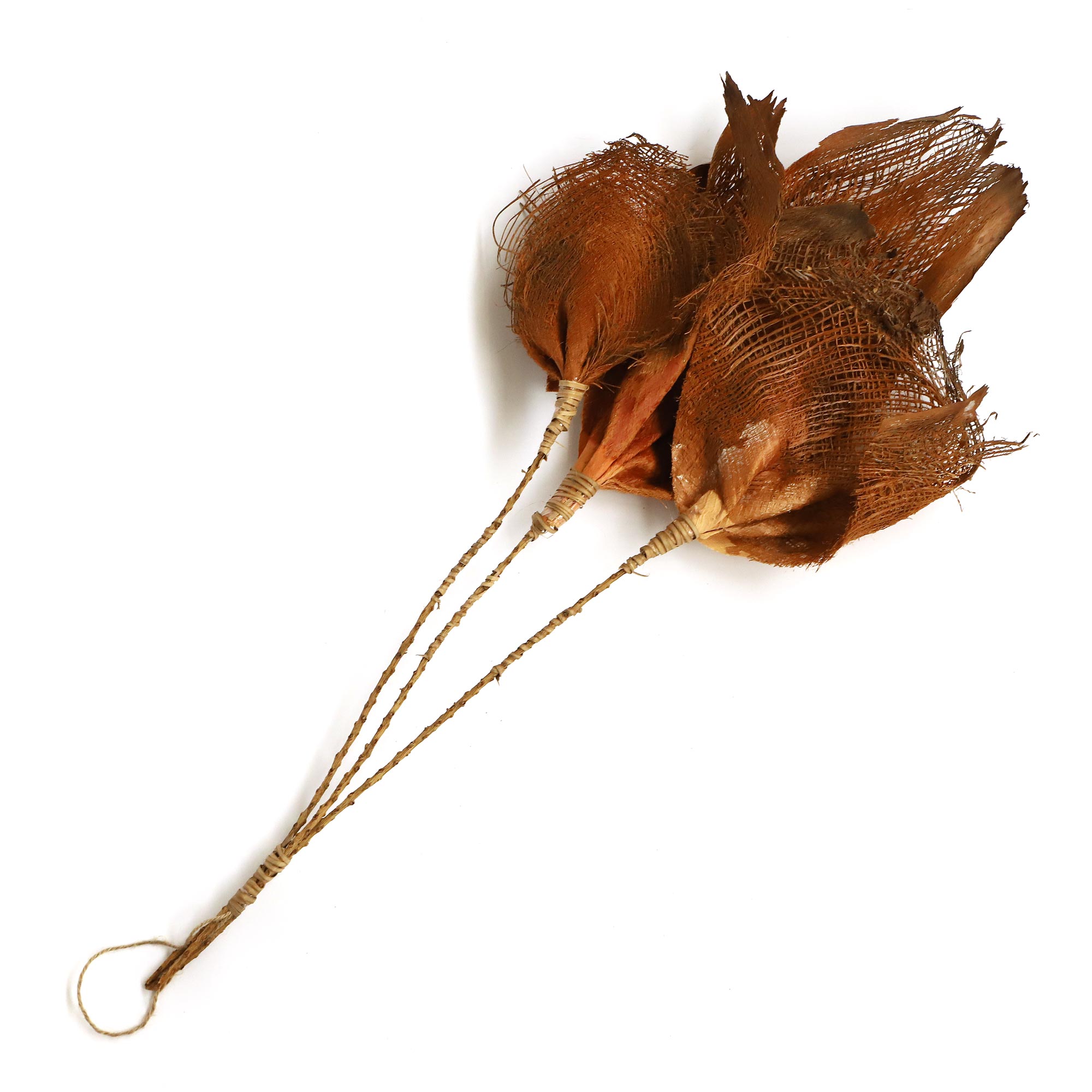 Palmyra Palmennetz, H 75 cm