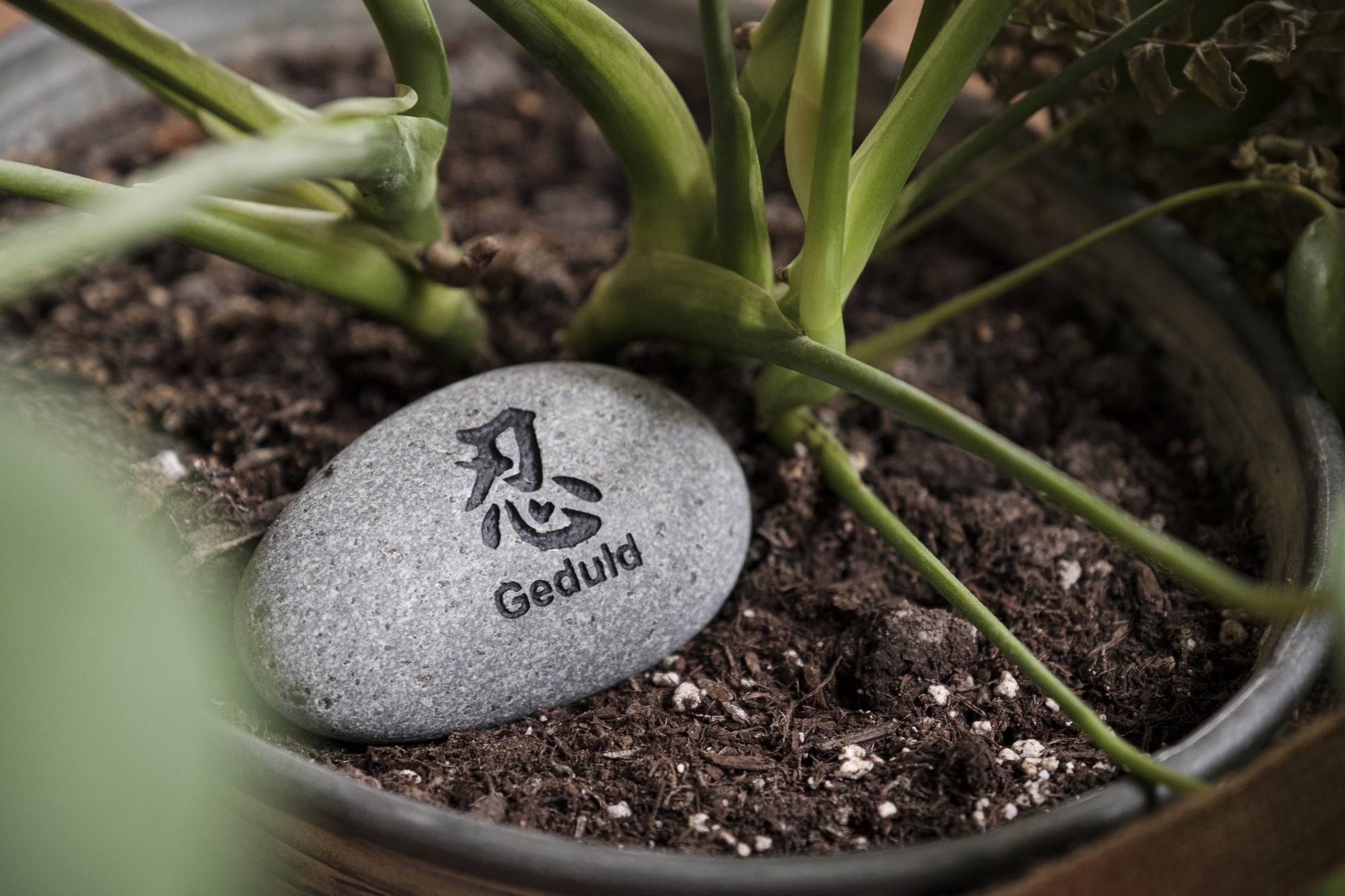 Flusskieselstein 'Geduld', grau, T 7 cm, B 8 cm