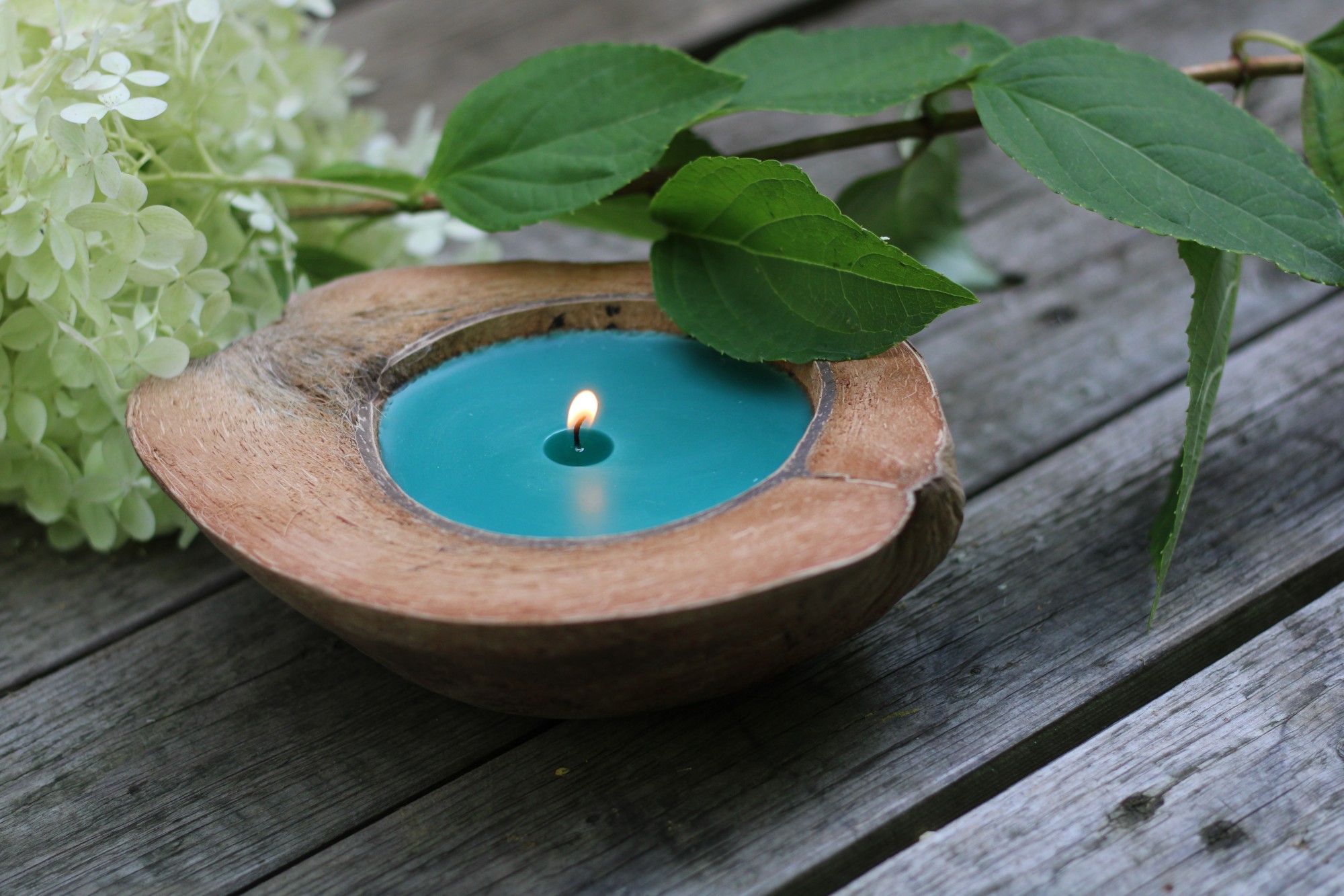 Duftkerze 'Island Spices', in Kokosnusshälfte, braun, blau, Ø 13-17 cm