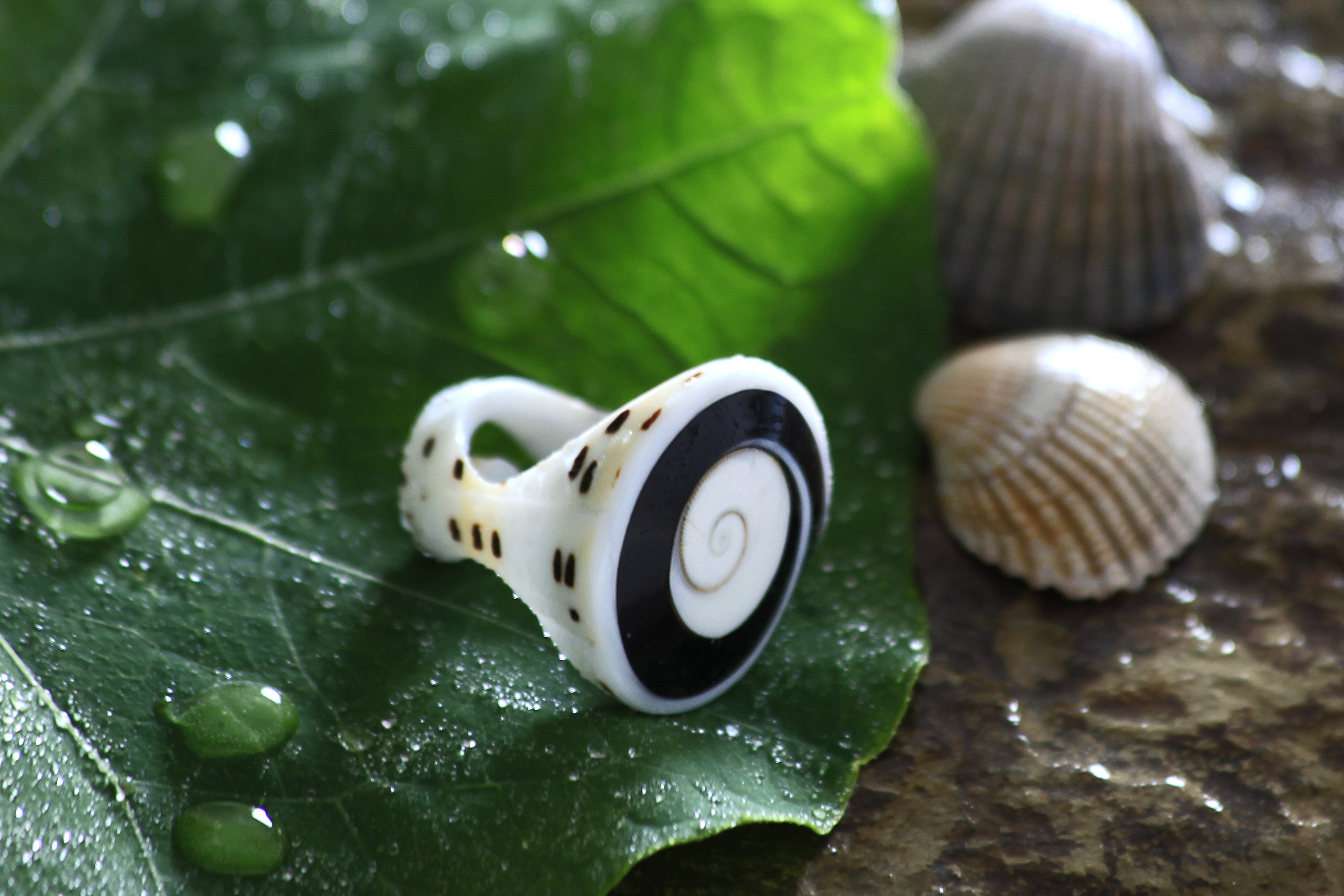 Perlmutt-Ring organisch, natur, T 3 cm, B 3 cm
