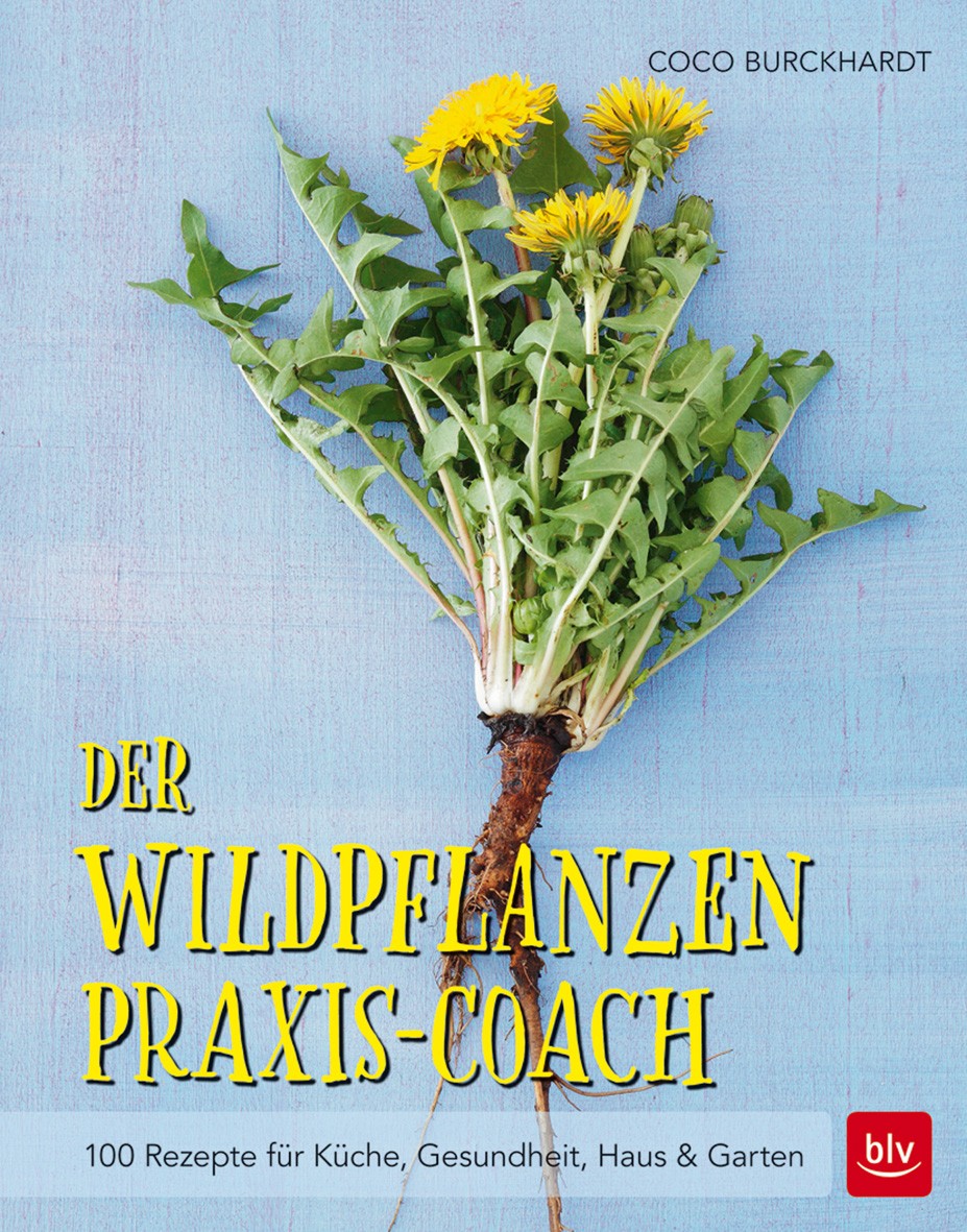 Buch 'Der Wildpflanzen Praxis-Coach', 100 Rezepte für Küche, Gesundheit, Haus & Garten