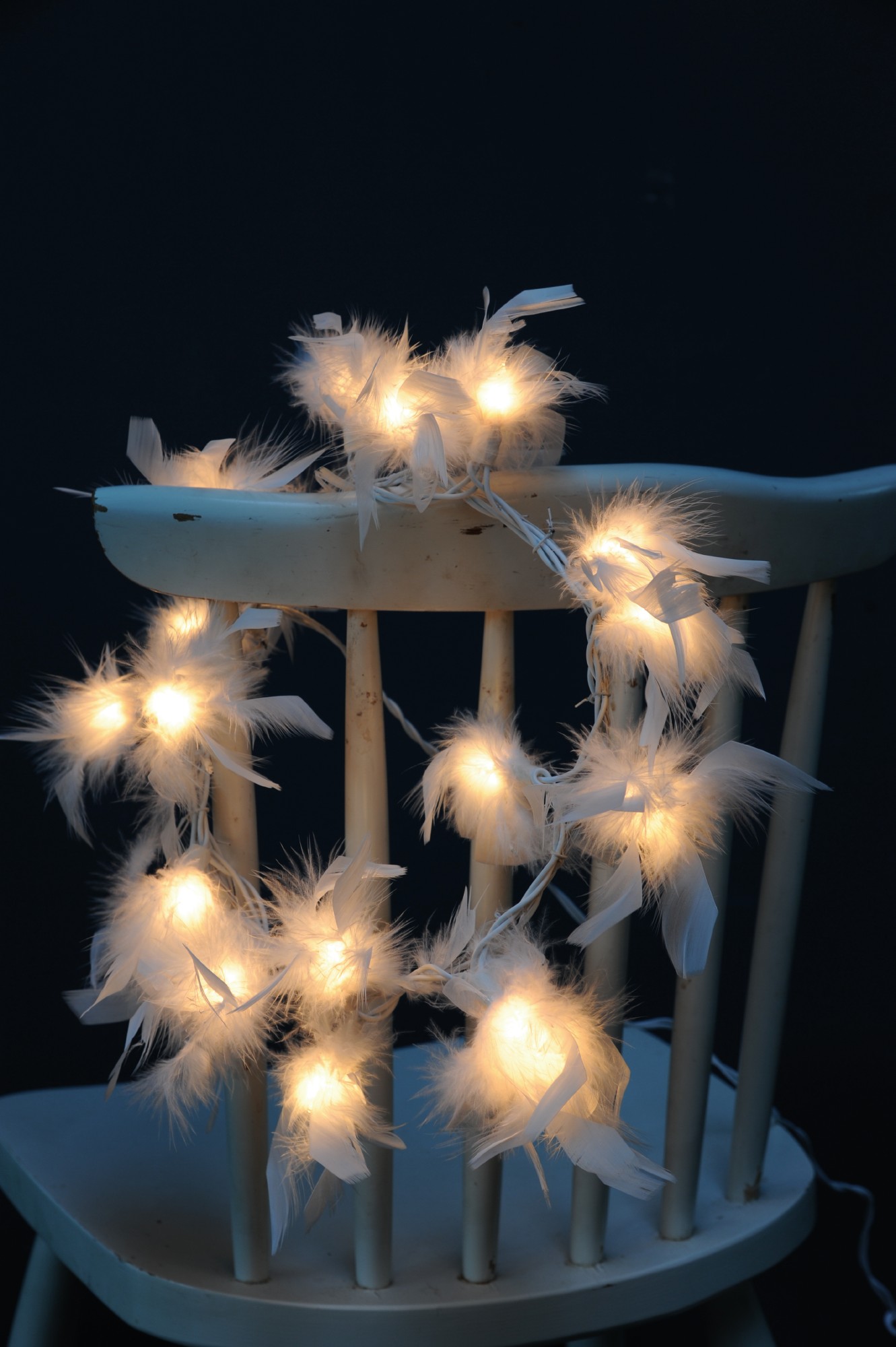 Lichterkette "Federn", mit 20 LED-Leuchten, weiß, L 315 cm