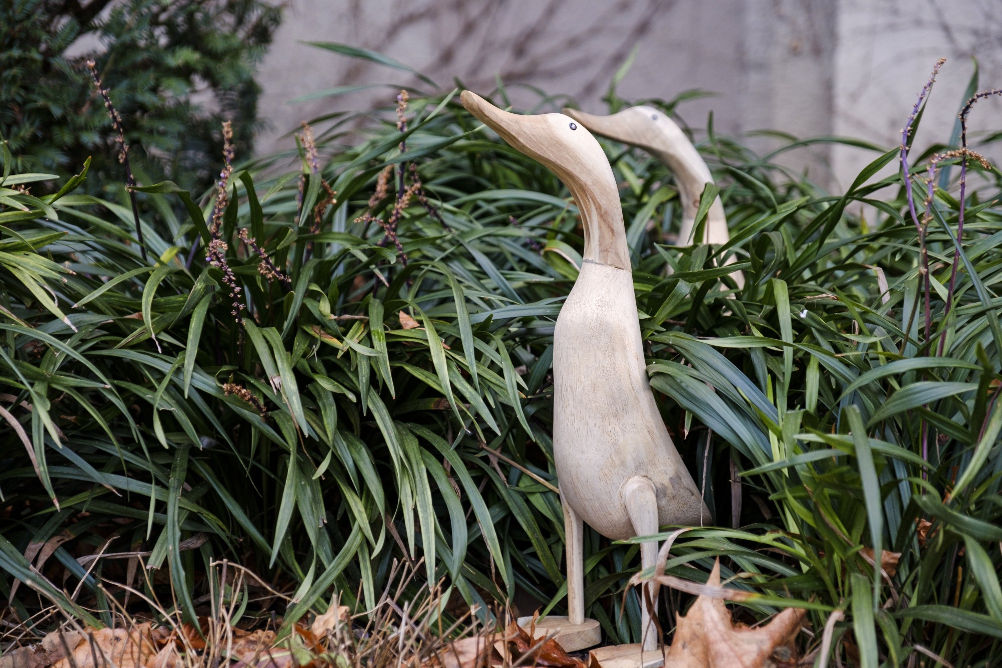 Ente 'Halus' aus Wurzelholz, mittel, H ca. 40-45 cm