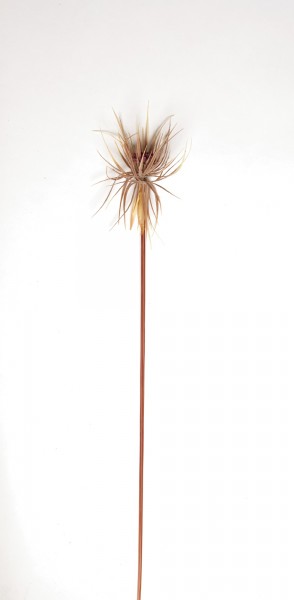 Kunstpflanze "Papyrusgras Halm", braun, H 120 cm