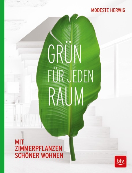 Buch 'Grün für jeden Raum', Mit Zimmerpflanzen schöner wohnen