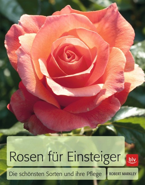 Buch 'Rosen für Einsteiger', Die schönsten Sorten und ihre Pflege