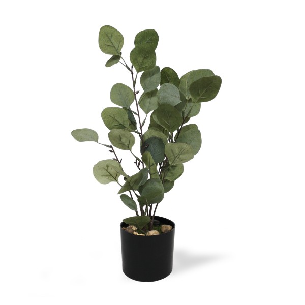 Kunstpflanze 'Eukalypthus', H 43 cm, im Ø-10-cm-Topf