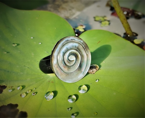 Ring 'Muschel-Spirale', natur, schwarz, Ø 4 cm