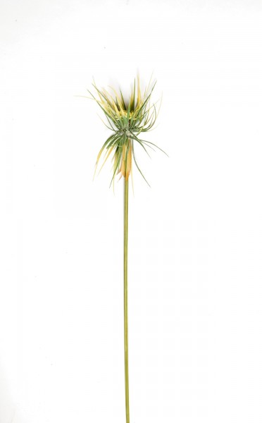 Kunstpflanze "Papyrusgras Halm", gelb, H 120 cm