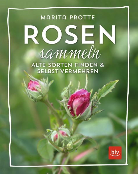Buch 'Rosen sammeln', Alte Sorten finden & selbst vermehren
