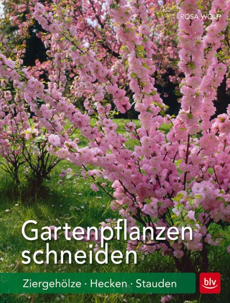 Buch 'Gartenpflanzen schneiden', Ziergehölze - Hecken - Stauden