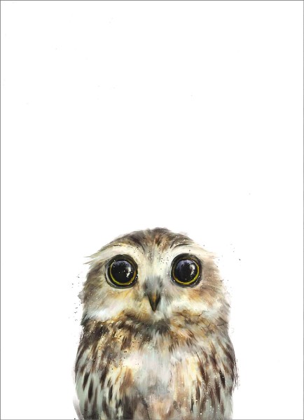 Postkarte 'Little owl'