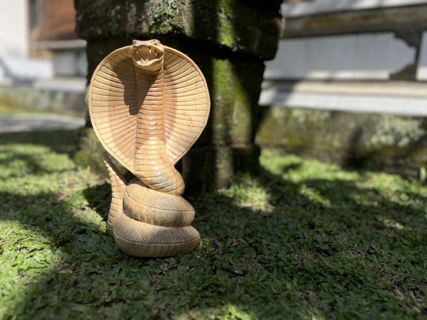 Figur 'Cobra', aus Suarholz, H 30 cm, B 19 cm, L 10 cm