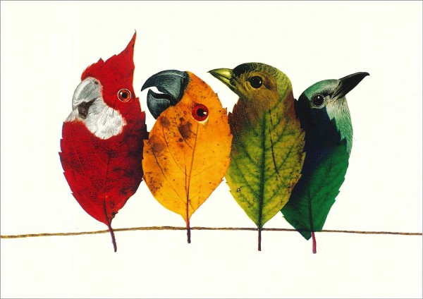 Postkarte 'Birds on the Wire'
