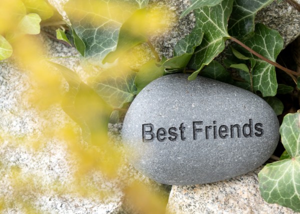 Flusskiesel 'Best Friends', B 10-11 cm, H 3 cm