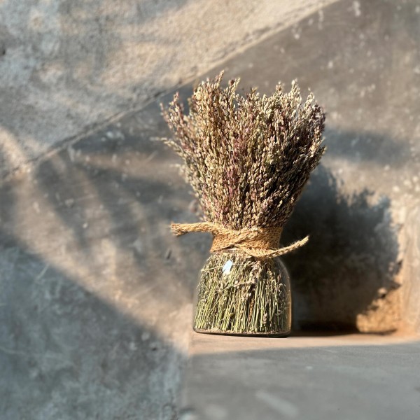 Strauß chinesisches Liebesgras im Glas, H 25 cm, Ø 9,5 cm